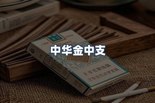 中华金中支